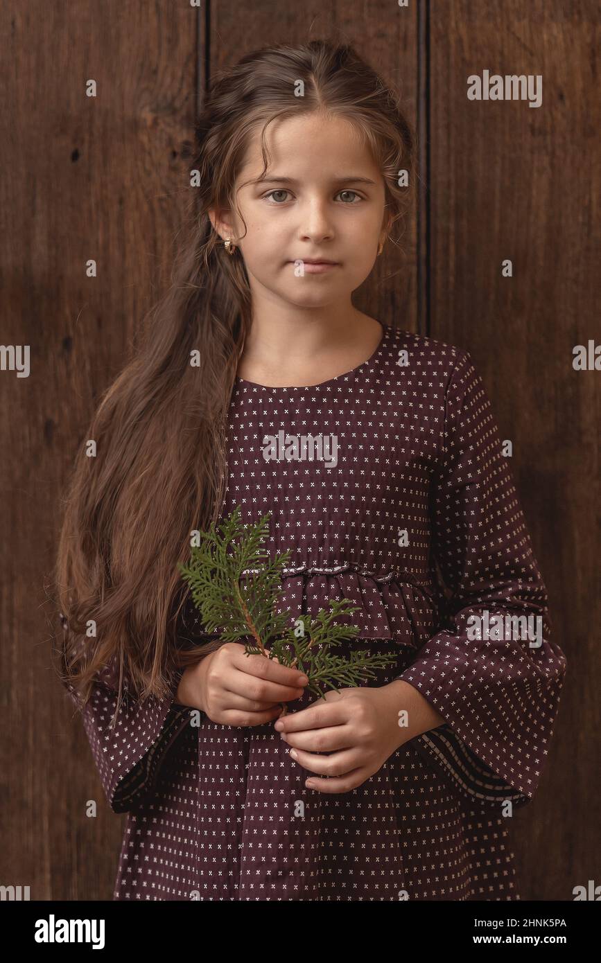 Portrait of a beautiful little girl with long hair Stock Photo - Alamy