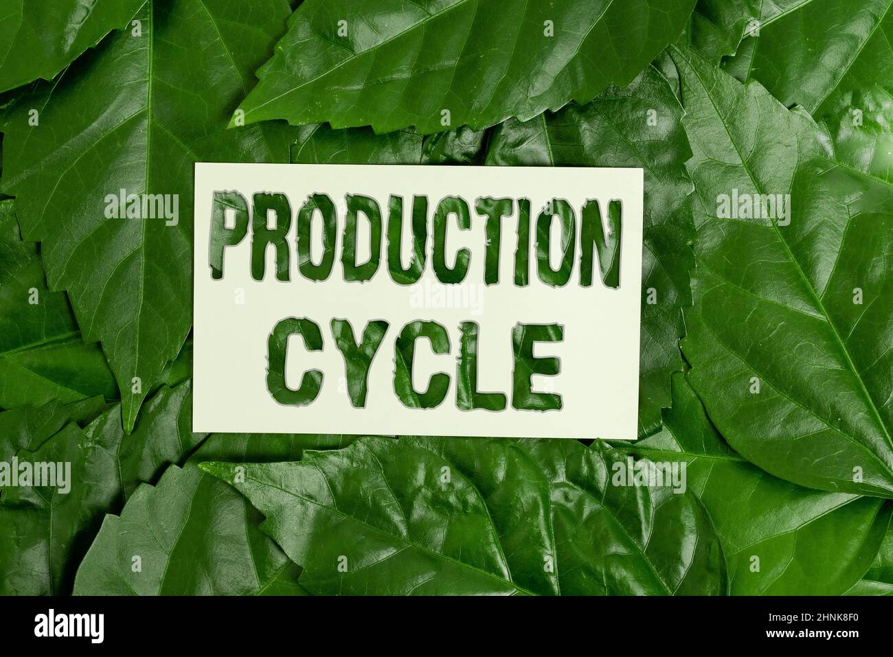 Text sign showing Production Cycle, Business overview conversion of raw