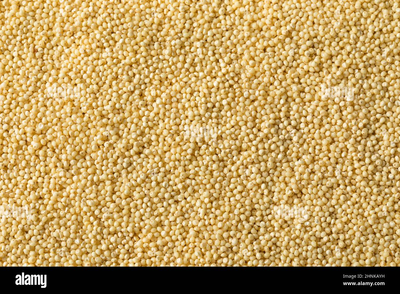 Raw Dry Organic Millet Grain Ready to Cook Stock Photo Alamy