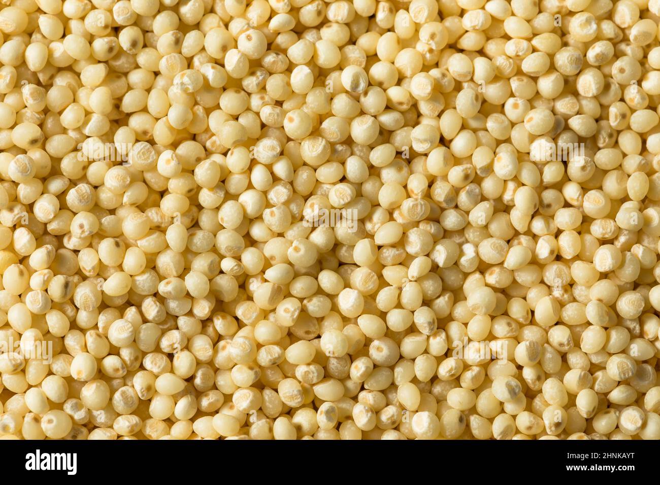 Raw Dry Organic Millet Grain Ready to Cook Stock Photo Alamy