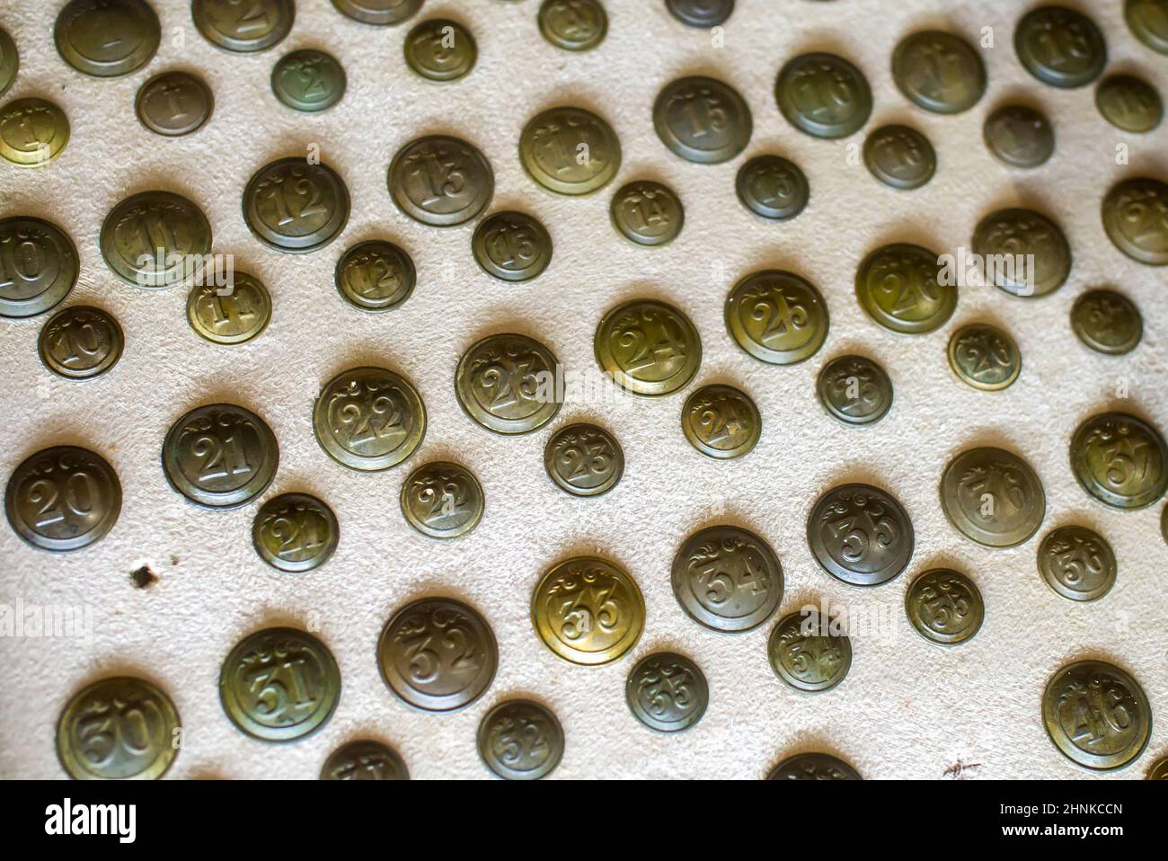 Buttons on the uniforms of privates of the line infantry during the Crimean War Stock Photo