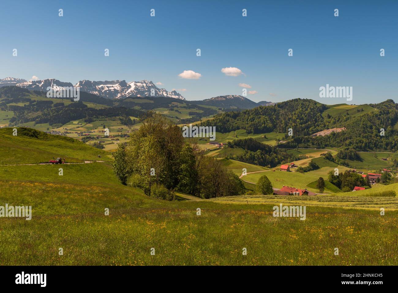 Green mountainous landscape in the Appenzeller Alps in Switzerland Stock Photo