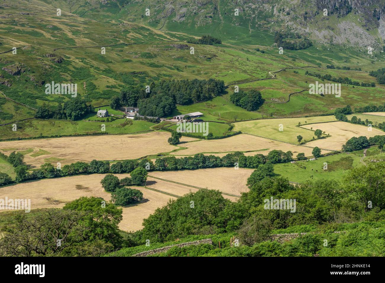 Hartrigg Farm From Withered Howe In Kenmere Cumbria Stock Photo - Alamy