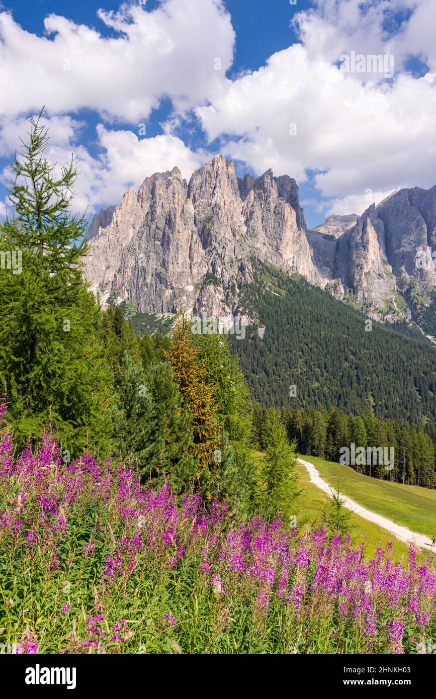 Panorama of the Rosengarten group in the Dolomites Stock Photo Alamy