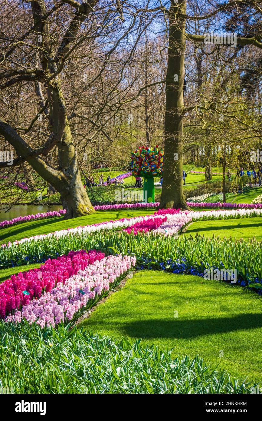 Keukenhof, The Netherlands - April 13 2015: Tulip Keukenhof park in ...