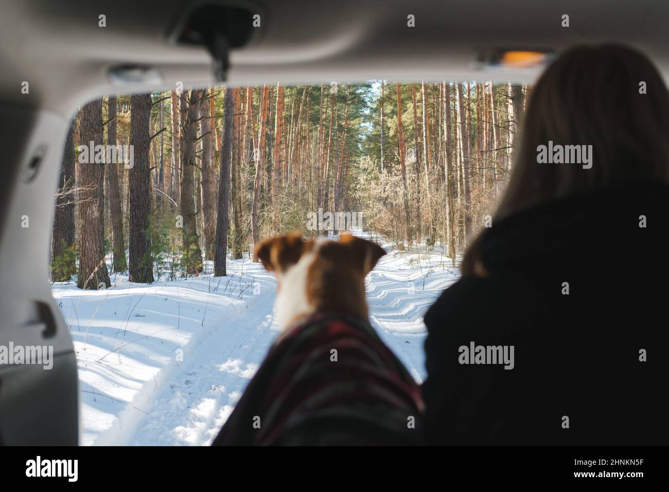 Winter car camping with pets scene woman sits next to a dog in SUV