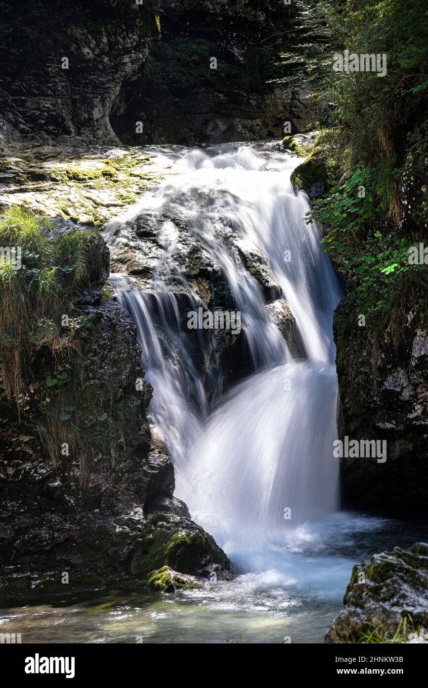 the small waterfalls of a stream that flows through the woods Stock ...