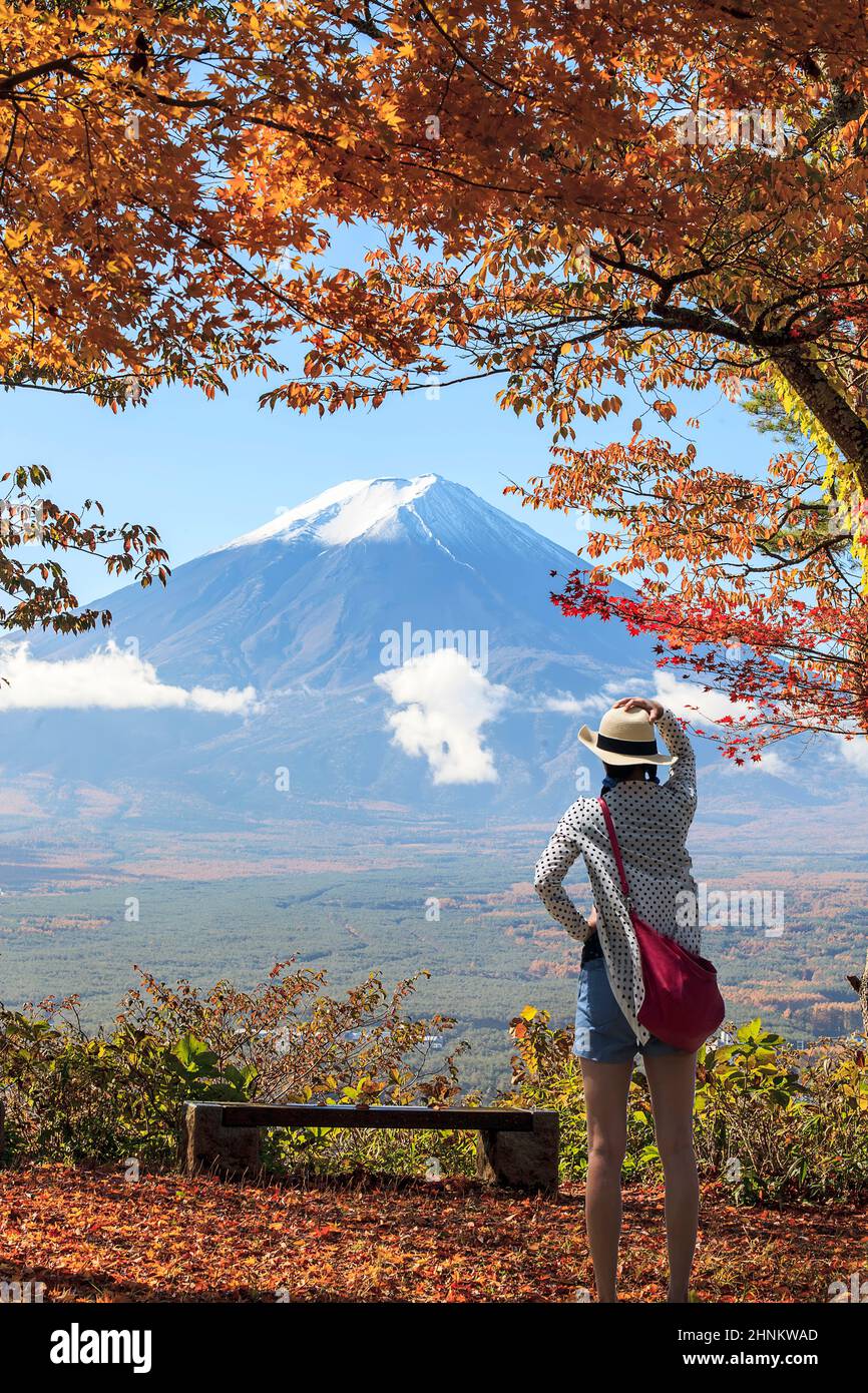 Mountain Fuji and maple tree in Japan Stock Photo