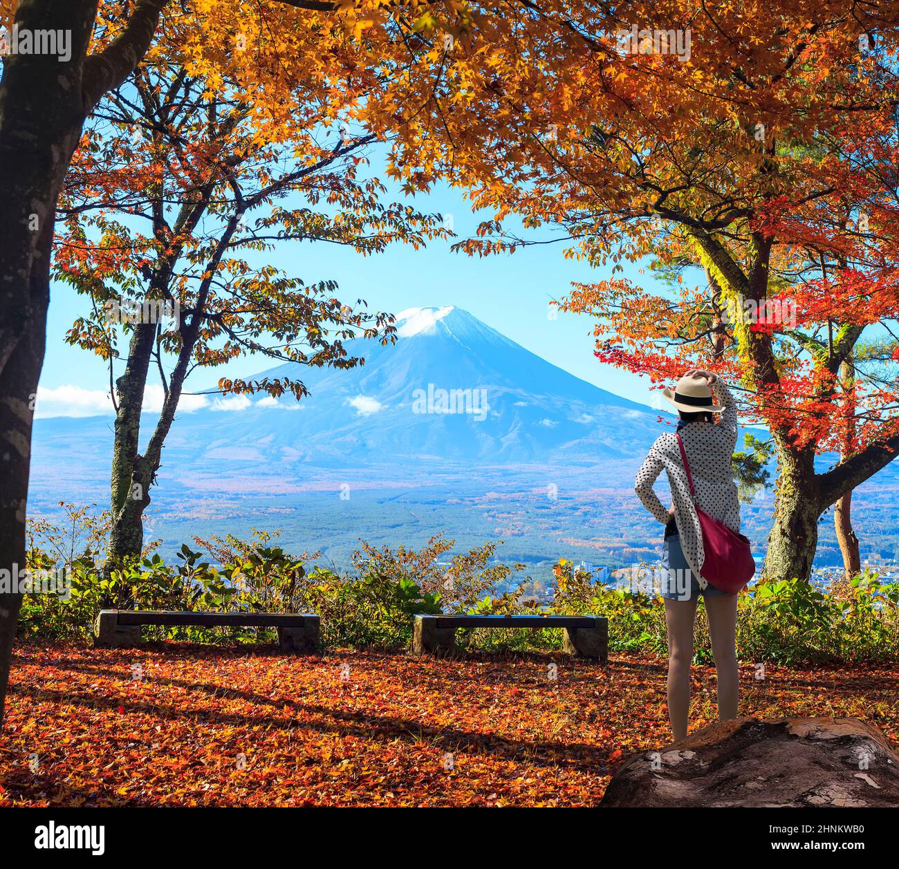 Mountain Fuji and maple tree in Japan Stock Photo