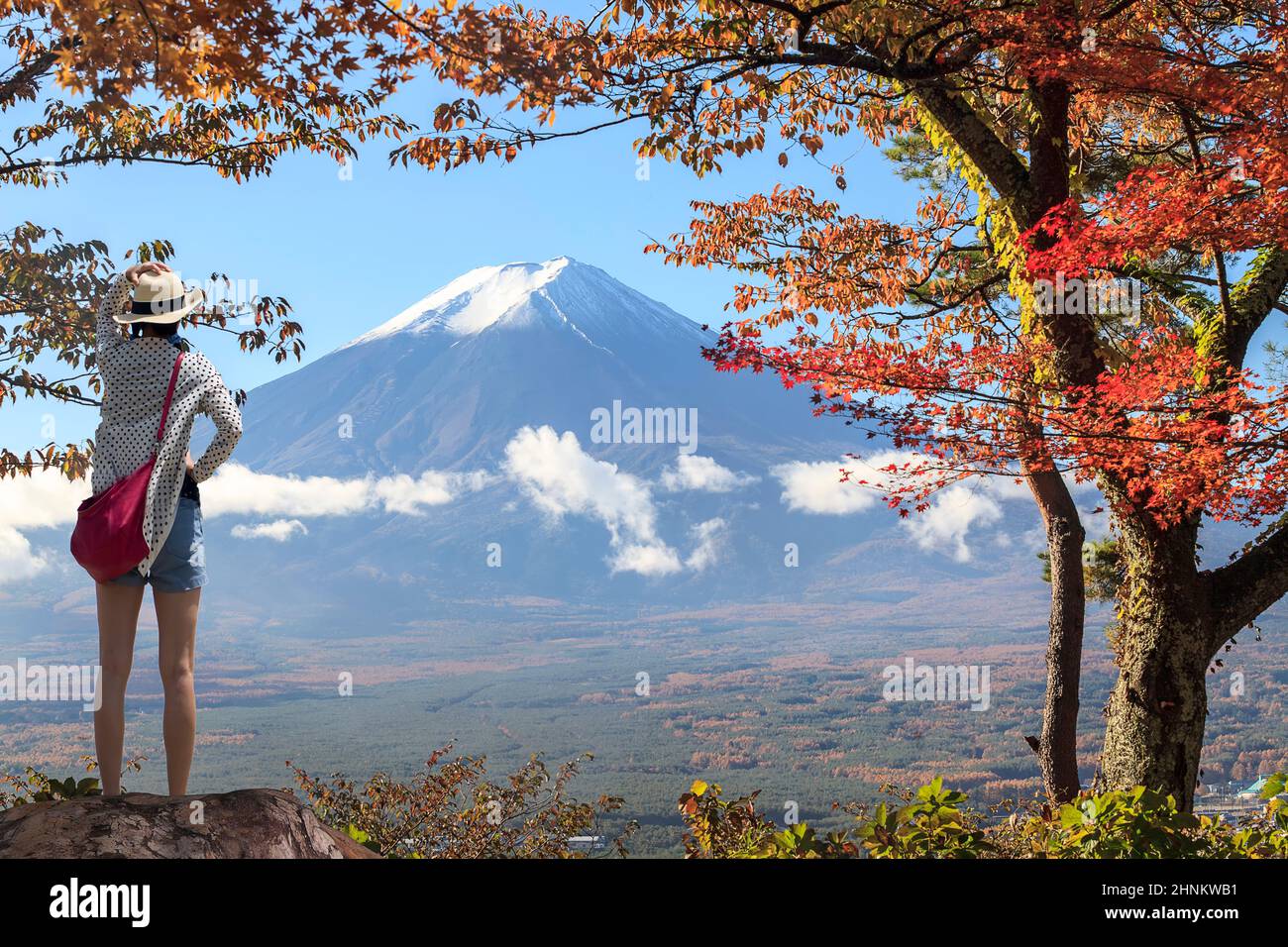 Mountain Fuji and maple tree in Japan Stock Photo