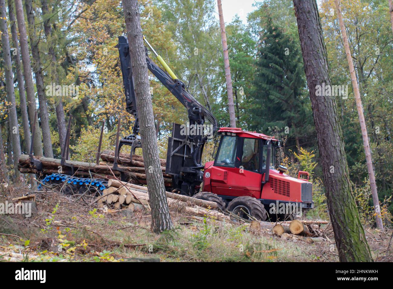 Forest workers with special machines harvesting wood. Tree trunks are loaded. Stock Photo
