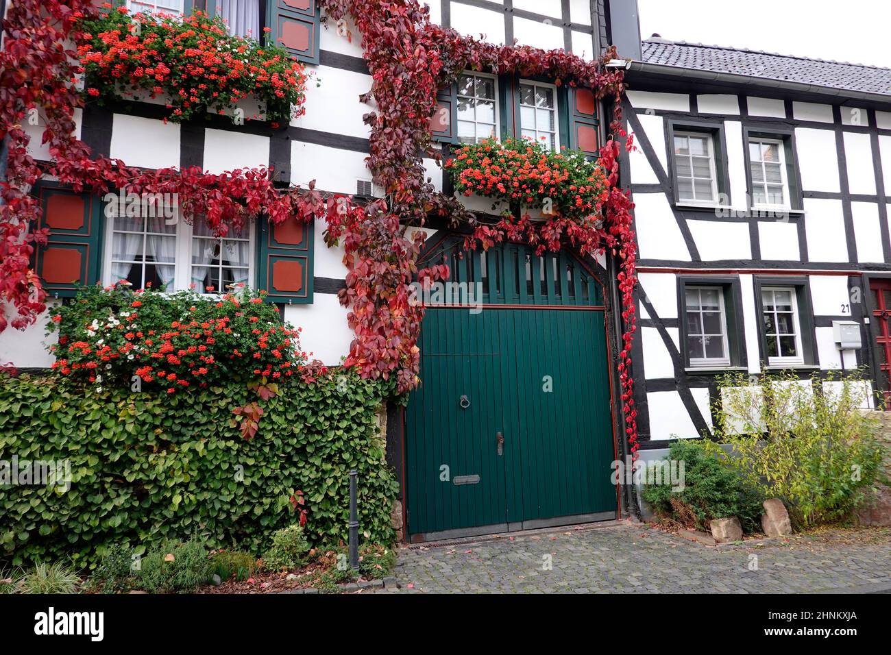 malerische Fachwerk-Idylle, altes Wohnhaus mit Wildem Wein Stock Photo