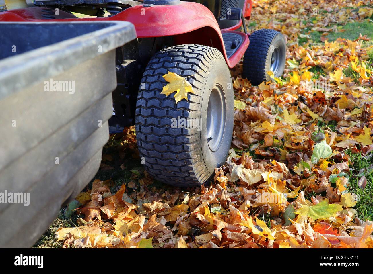 Red riding lawn mower with big container in garden. Concept gardening, mowing, work at outside in autumn Stock Photo