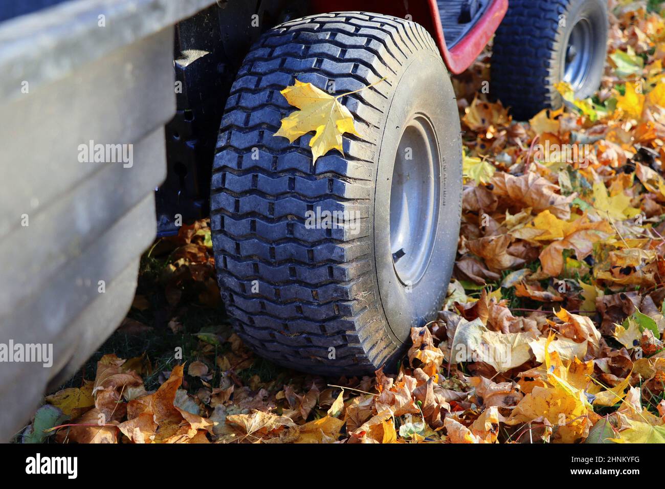 Red riding lawn mower with big container in garden. Concept gardening, mowing, work at outside in autumn Stock Photo