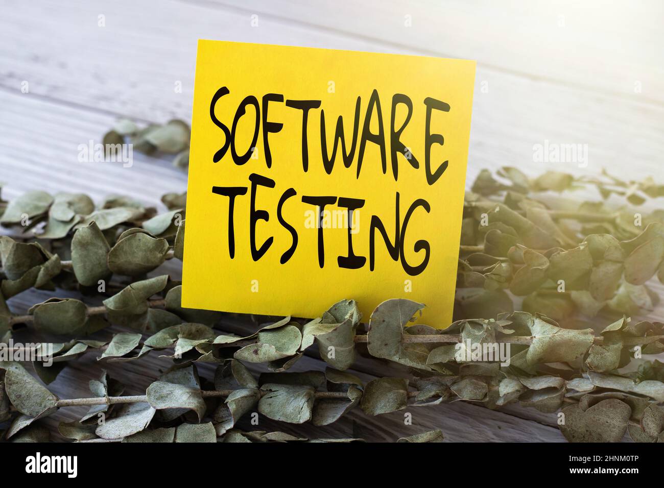 Inspiration showing sign Software Testing, Concept meaning evaluate the functionality of a software application Blank Piece Of Sticky Note Placed On T Stock Photo