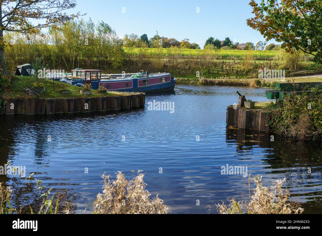 A tranquil scene at a marina with a moored barge and a field in the background; Ripon; North Yorkshire; England; UK. Stock Photo