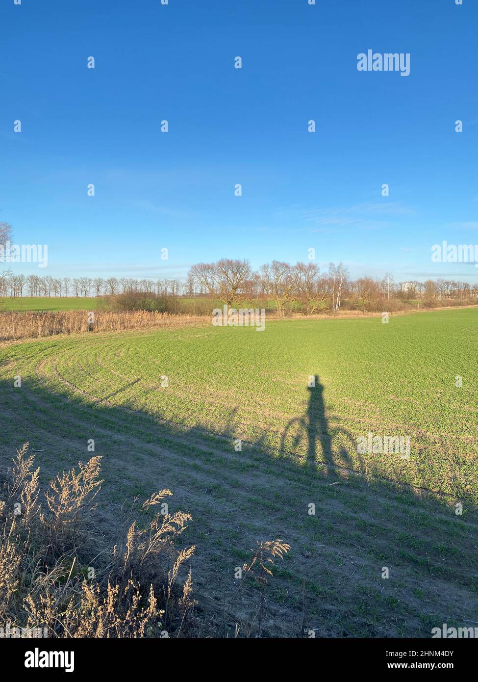 Vertical shot road shadow hi-res stock photography and images - Alamy