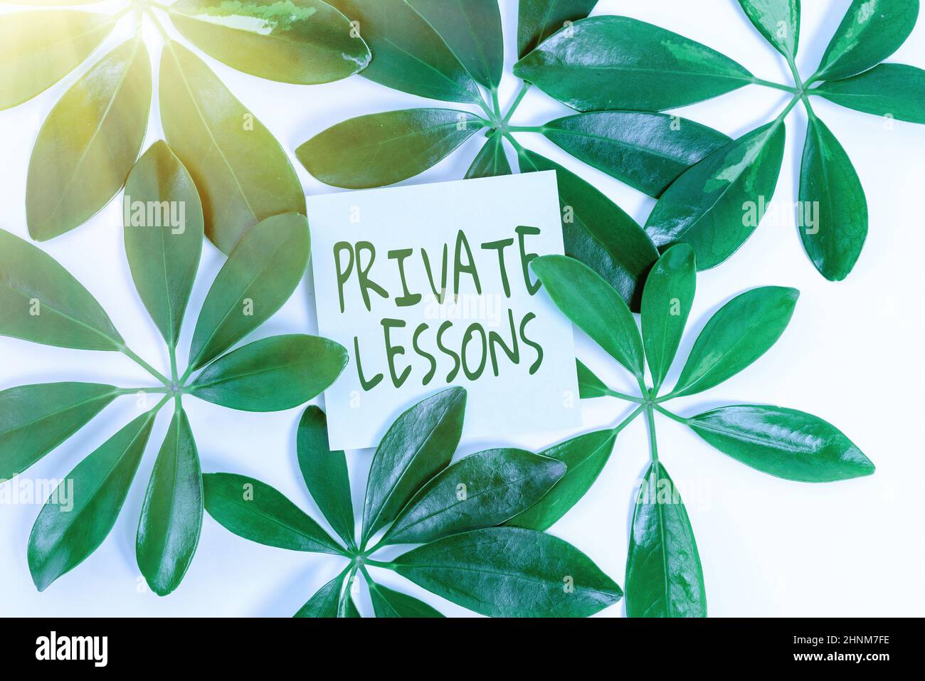 Private Lesson Sign Tutor groups hi-res stock photography and images - Alamy