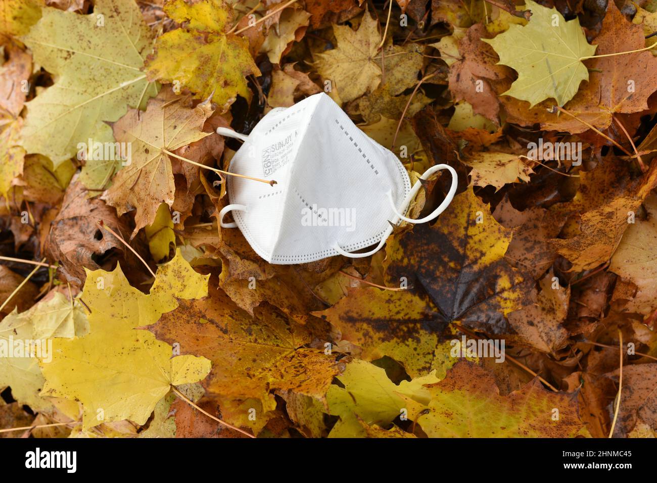 FFP2-Maske im Laub, vierte Corona-Welle im Herbst, Österreich, Europa - FFP2 mask in the foliage, fourth corona wave in autumn, Austria, Europe Stock Photo