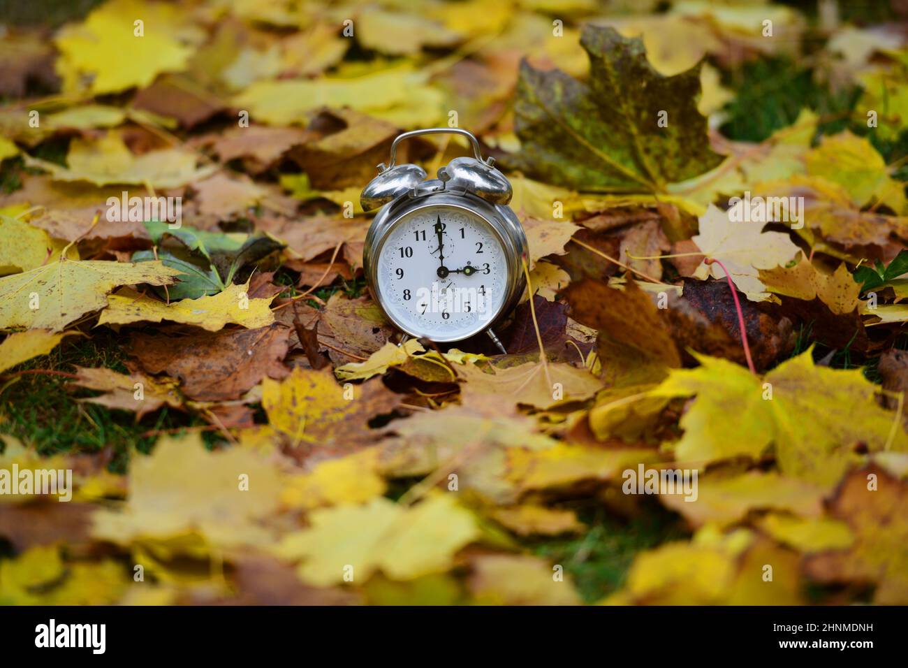 Zeitumstellung von Sommzeit auf Winterzeit im Herbst, Wecker im Laub - Time change from summer to winter time in autumn, alarm clock in the leaves Stock Photo
