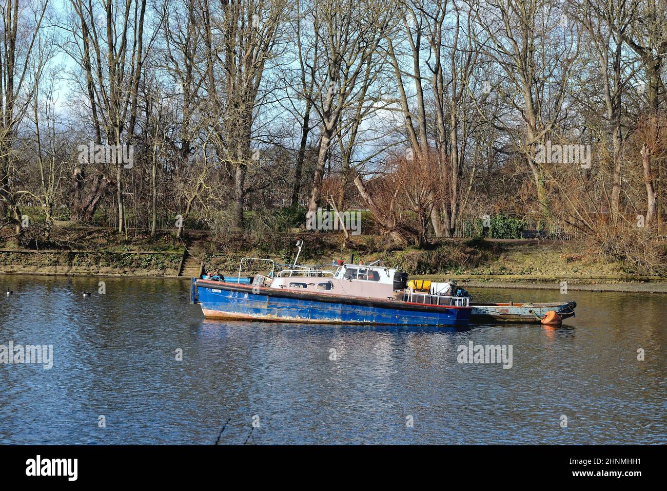 An abandoned decrepit river boat moored near the embankment on the River Thames at Richmond west London England UK Stock Photo