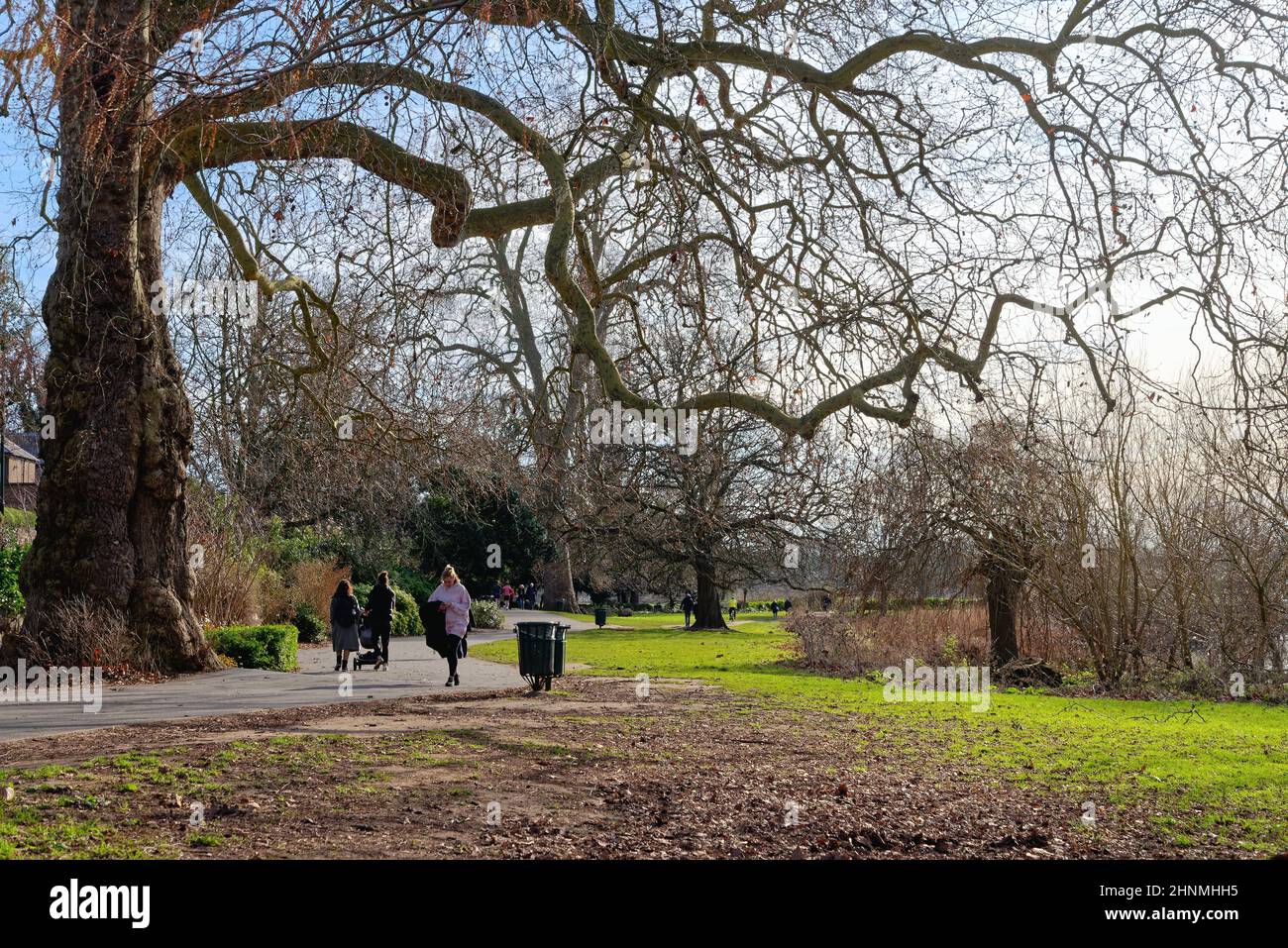 Buccleuch Gardens in Richmond on Thames on a sunny winters day, west London England UK Stock Photo
