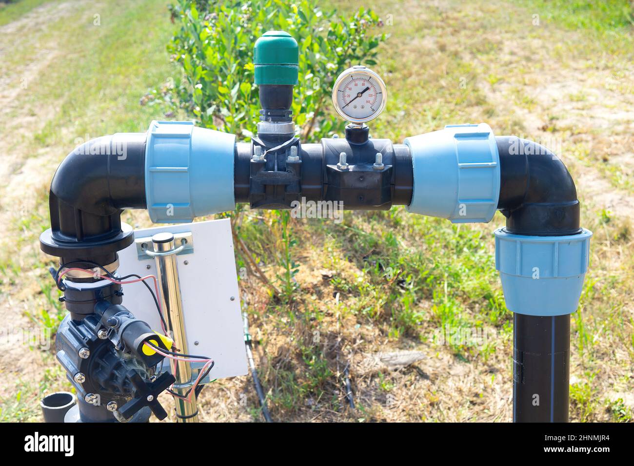 Berries farm drip irrigation system components. Stock Photo