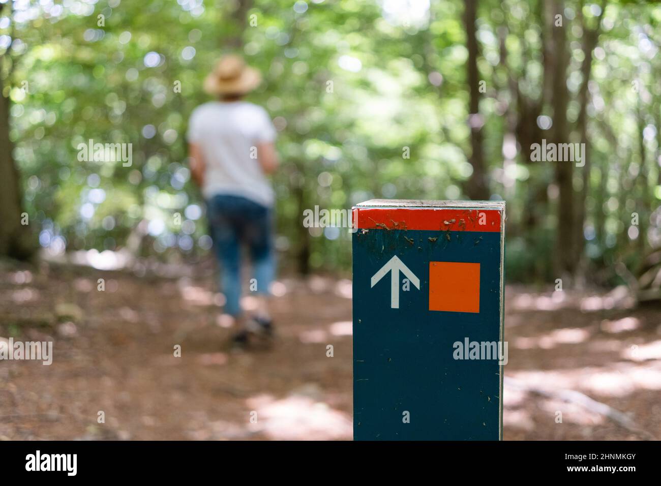 Signpost on a trail in a sunny forest with woman walking in the blurry background Stock Photo