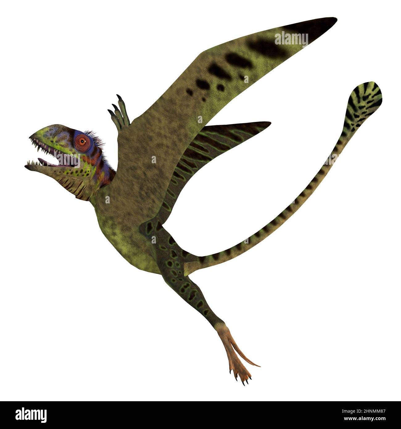 Prehistoric Reptile Of The Jurassic Period Flying Yellow Green Pterodactyl  With Grey Wings Funny Character Stock Illustration - Download Image Now -  iStock