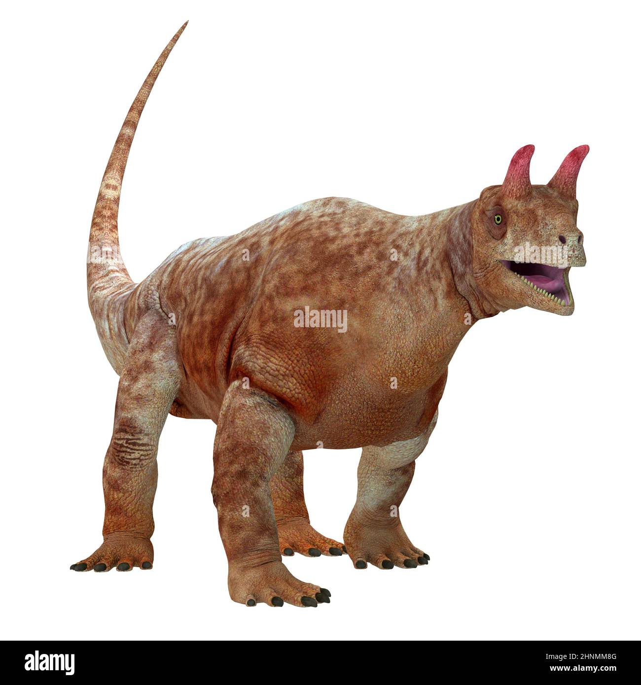 Shringasaurus was a herbivorous Archosaur that lived in India during the Triassic Period. Stock Photo
