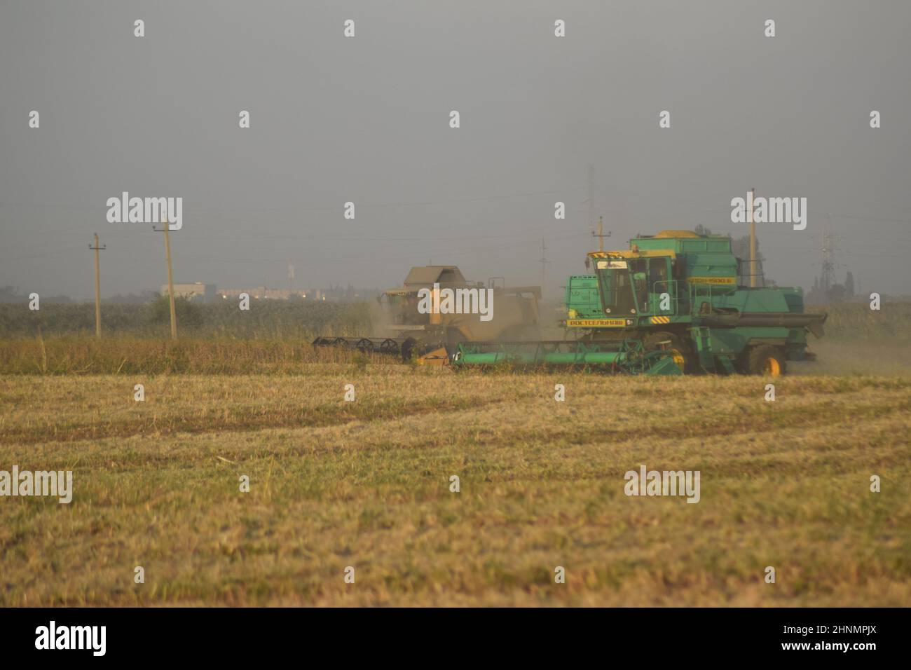 Soy harvesting by combines in the field. Stock Photo