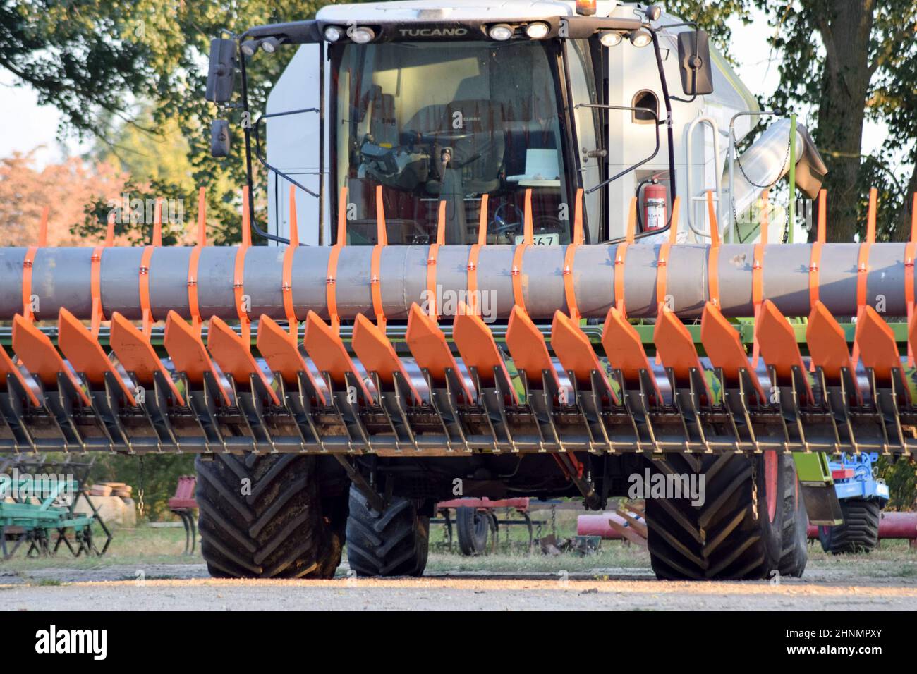 Machine for Harvesting Sunflower. Stock Photo