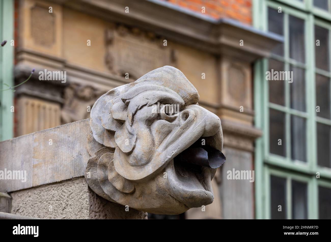 Gargoyle at Mariacka Street in Gdansk, Poland. Stock Photo