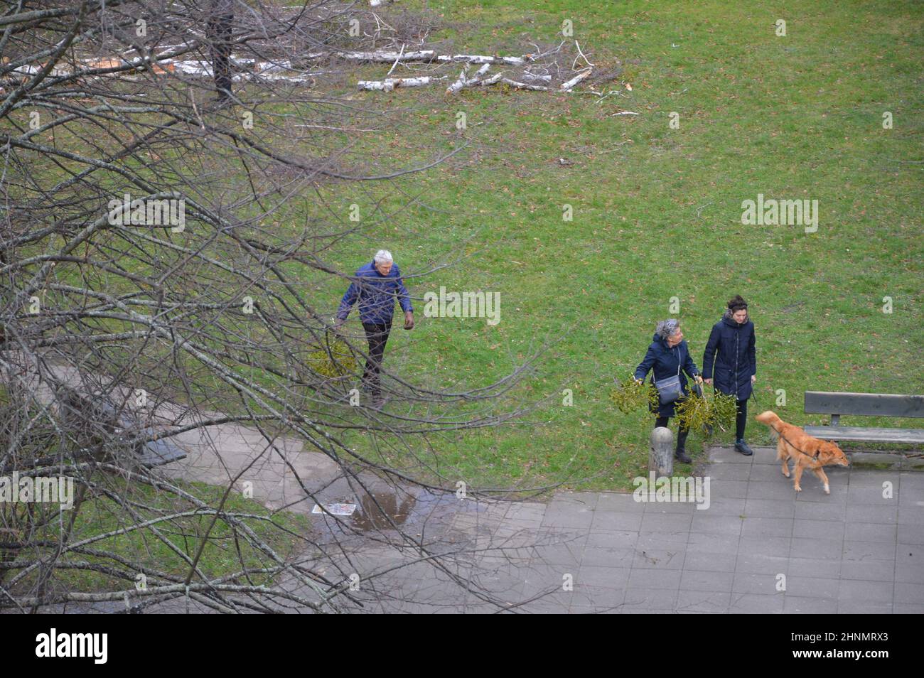 Stormy weather in berlin germany february 17 2022 stock photo alamy