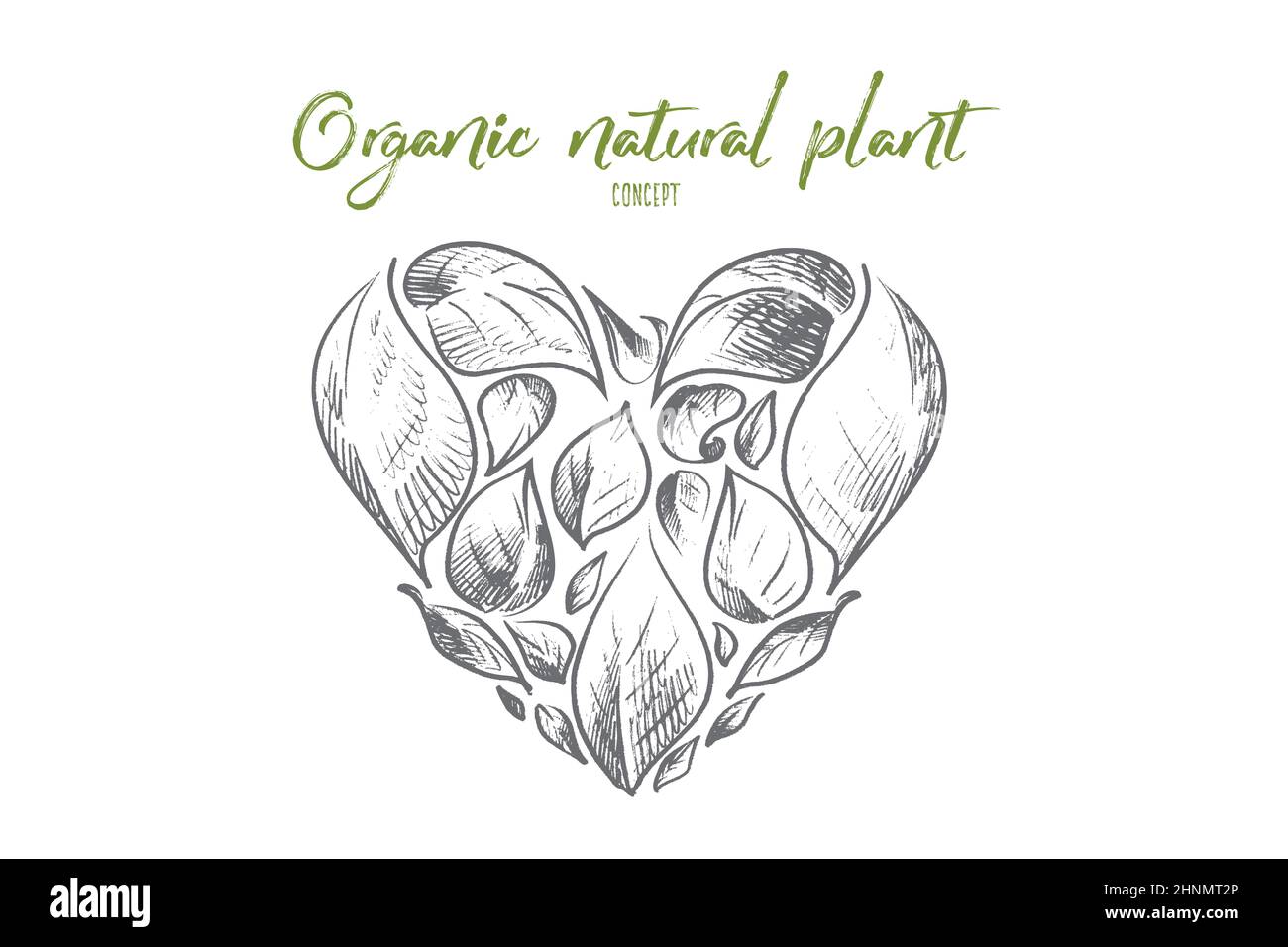 Organic natural plant concept. Hand drawn leaves in shape of heart ...