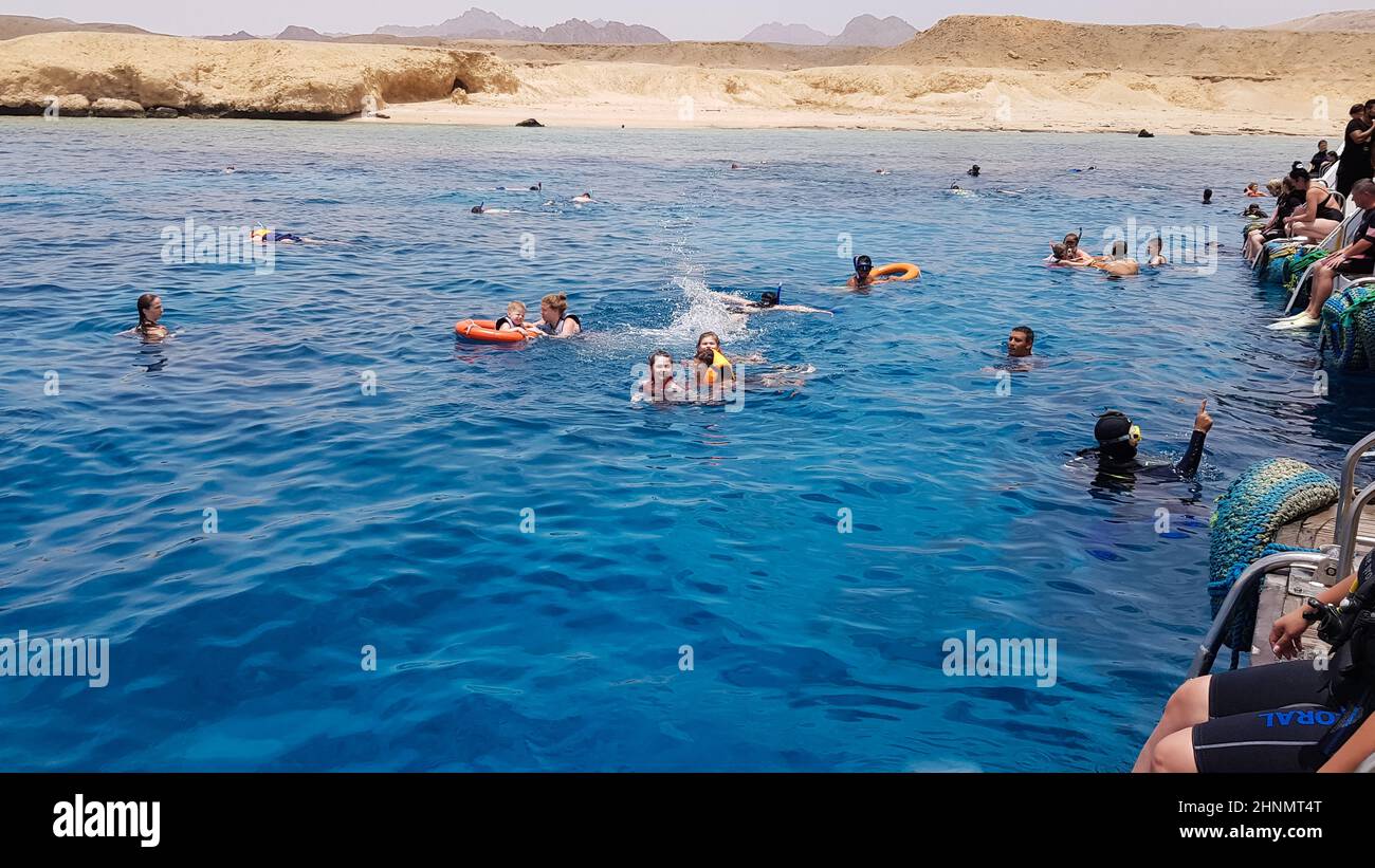 Egypt, Sharm El Sheikh - September 20, 2019: A group of tourists diving with a mask and snorkel are looking at the beautiful and colorful sea fish and coral reef in the Red Sea near the ship. Stock Photo