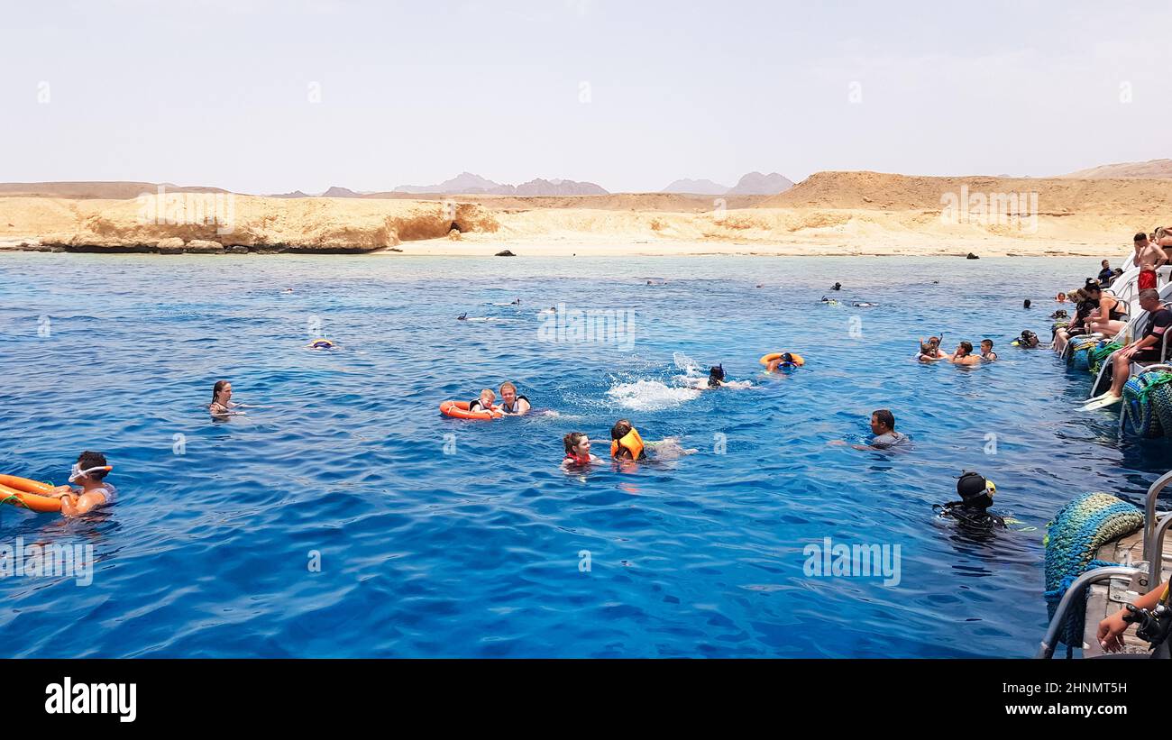 Egypt, Sharm El Sheikh - September 20, 2019: A group of tourists diving with a mask and snorkel are looking at the beautiful and colorful sea fish and coral reef in the Red Sea near the ship. Stock Photo