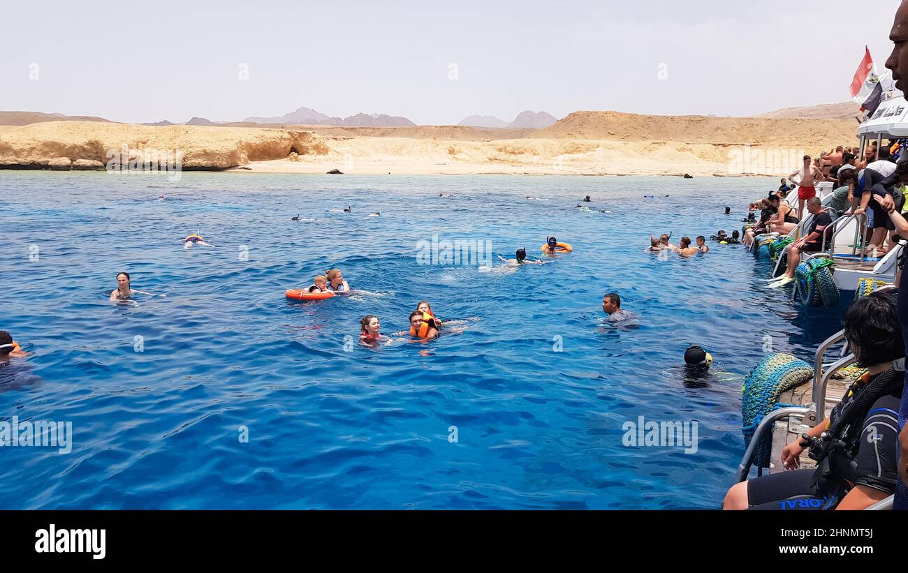 Egypt, Sharm El Sheikh - September 20, 2019: A group of tourists diving with a mask and snorkel are looking at the beautiful and colorful sea fish and coral reef in the Red Sea near the ship. Stock Photo