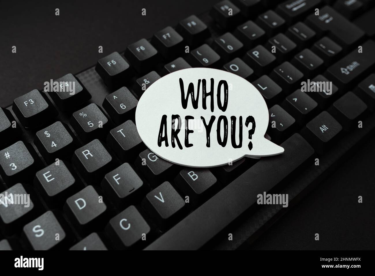 Handwriting text Who Are You question, Business idea asking person identity or personal information Entering New Programming Codes, Typing Emotional S Stock Photo