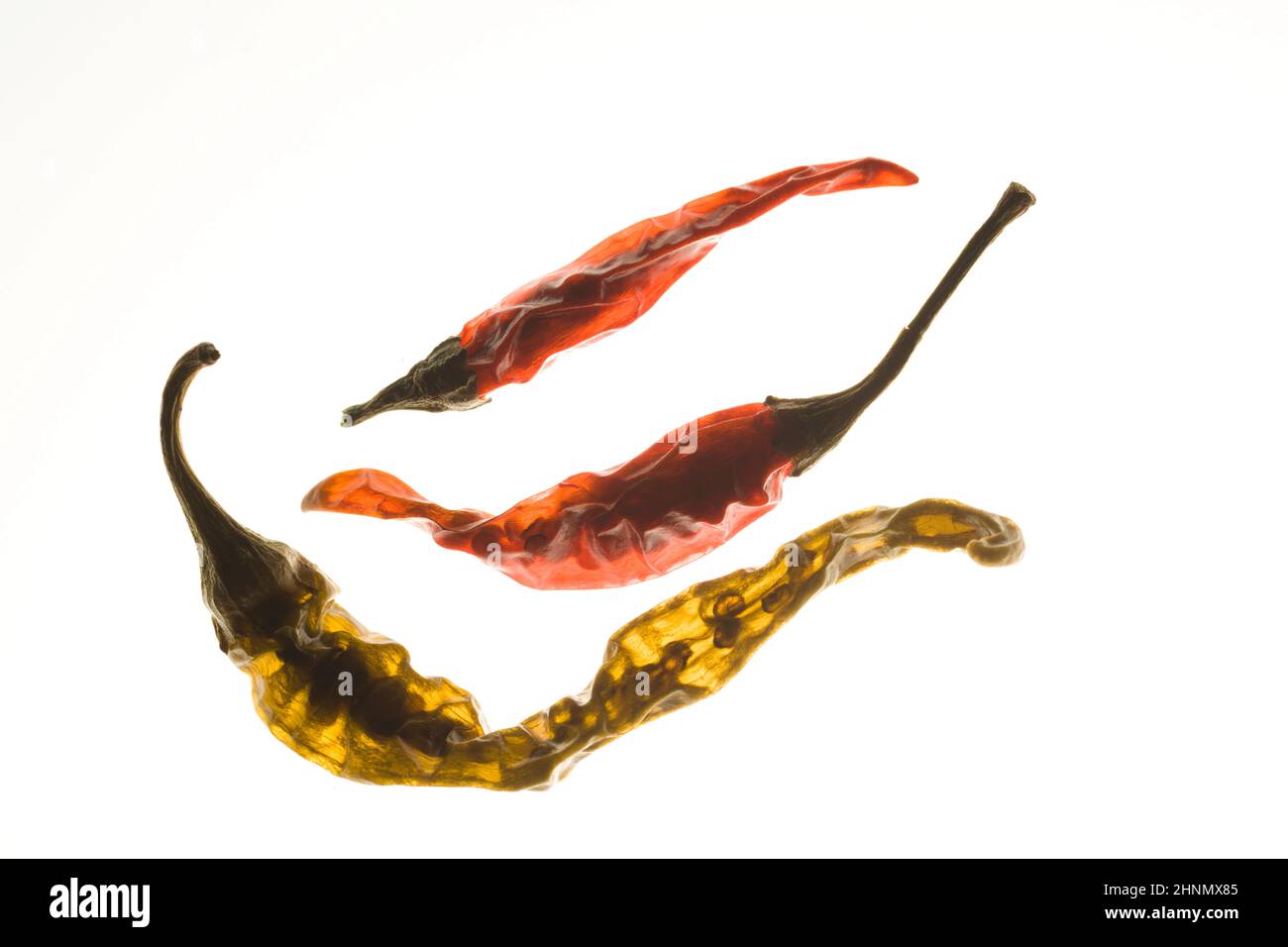 Three dried chili peppers are dsiplayed on a backlit background showing