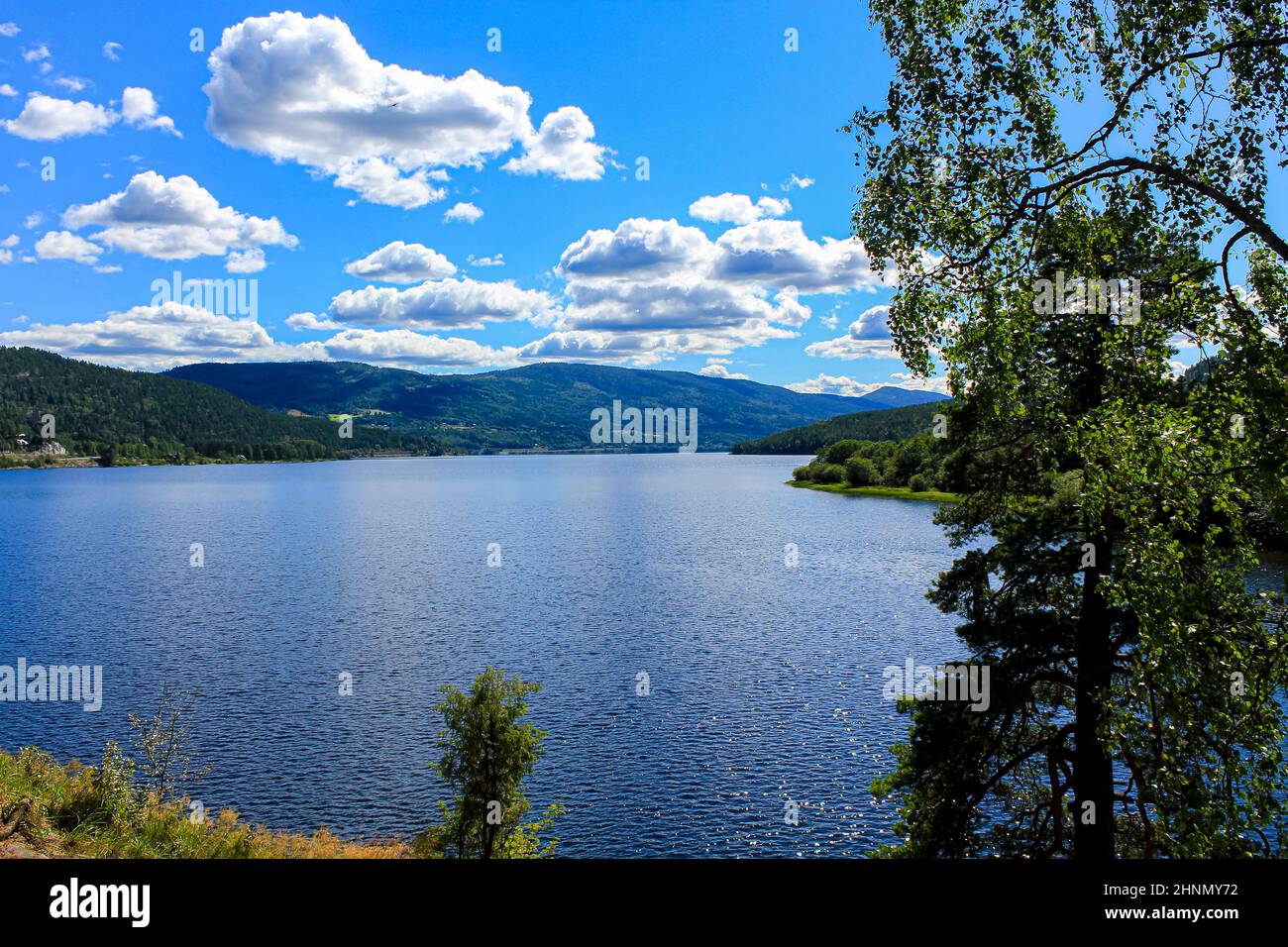 Beautiful mountain and seascape in Norway. Fjords river forest nature. Stock Photo