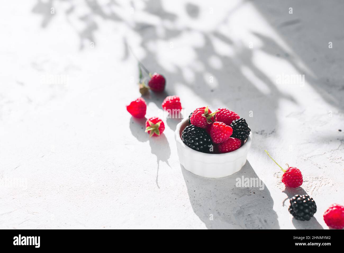 White bowl full with raspberries, blackberry on gray concrete table with leaves, tree branches shadow. Healthy eating concept. Eco, bio farming. Fresh Stock Photo
