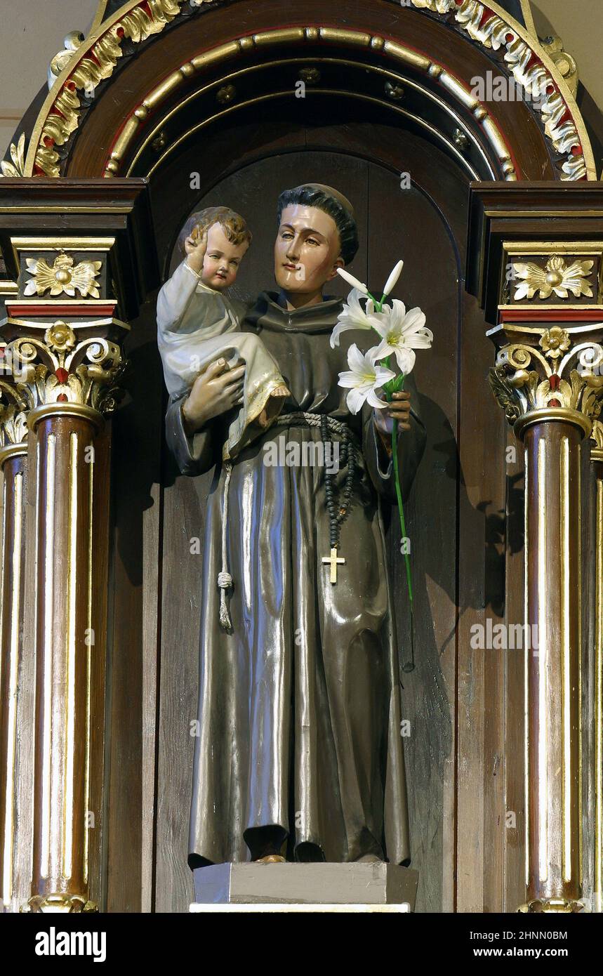 Saint Anthony of Padua holds a child Jesus, a statue on the altar of Saint Anthony of Padua in the parish church of the Annunciation of the Virgin Mary in Velika Gorica, Croatia Stock Photo