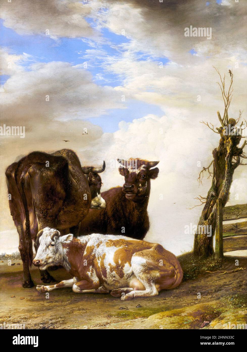 Two Cows and a Young Bull beside a Fence in a Meadow by Paulus Potter (1625-1654 ), oil on panel, 1647 Stock Photo