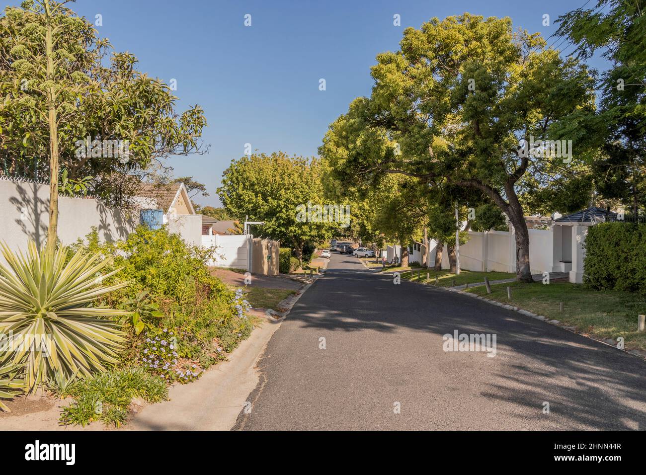Street in Claremont, Cape Town, South Africa. Sunny weather. Stock Photo