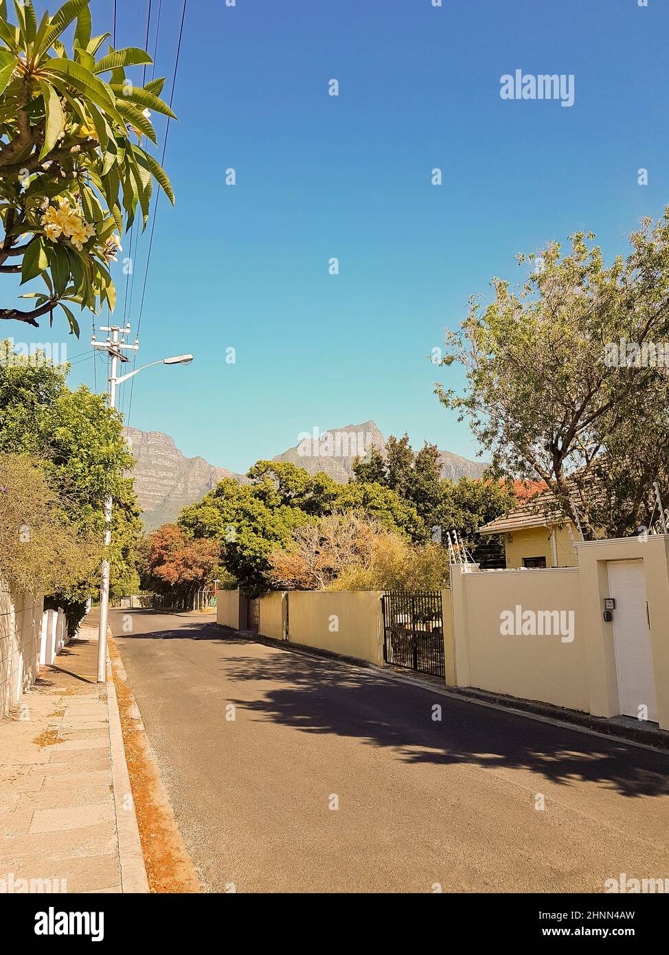 Street in Claremont, Cape Town, South Africa. Sunny weather. Stock Photo