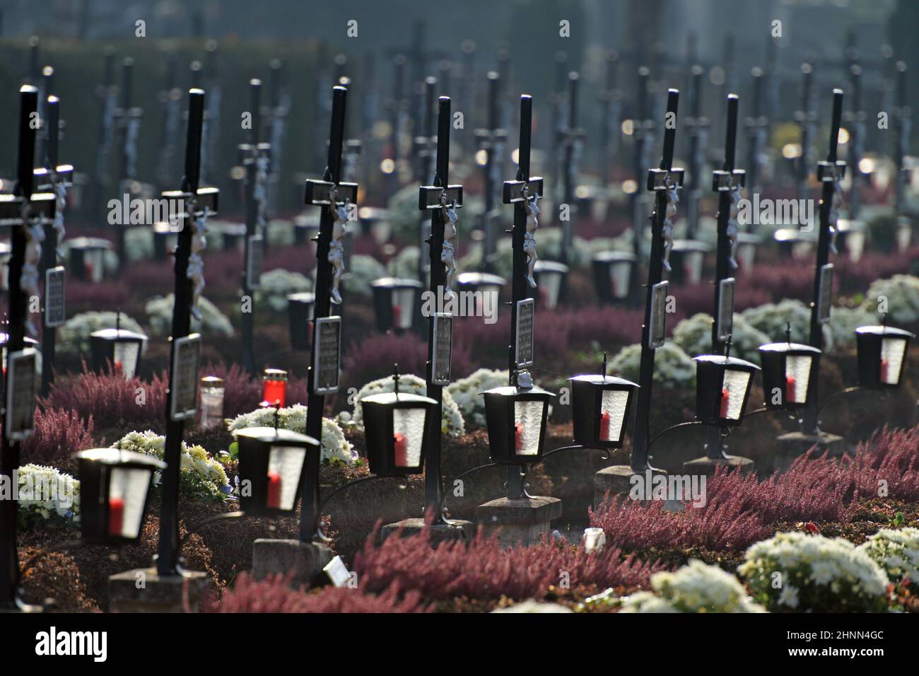 Grabkreuze in einer Reihe auf dem Friedhof Wels, Österreich, Europa - Grave crosses in a row in the cemetery Wels, Austria, Europe Stock Photo