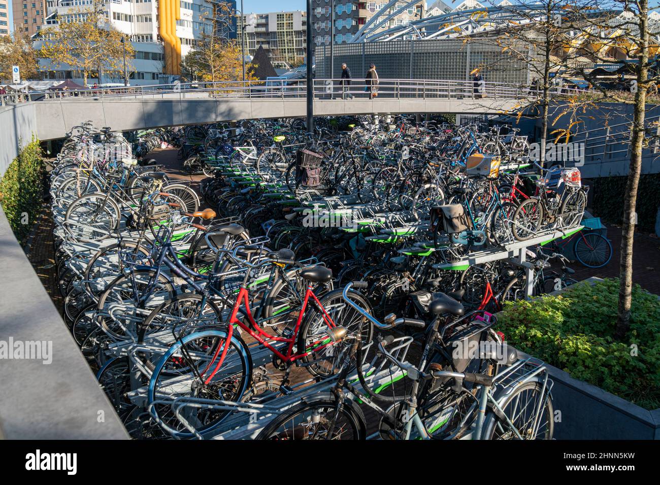 Bicycle Park, Rotterdam, Netherlands Stock Photo