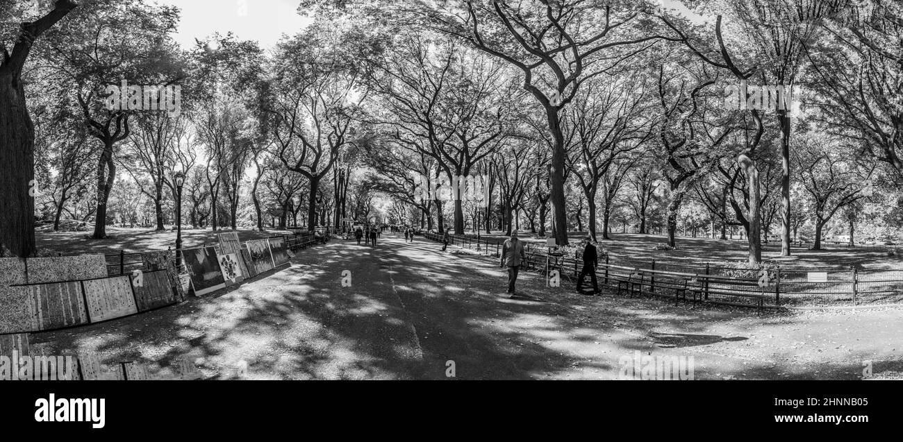People enjoying walking in  Central Park Stock Photo
