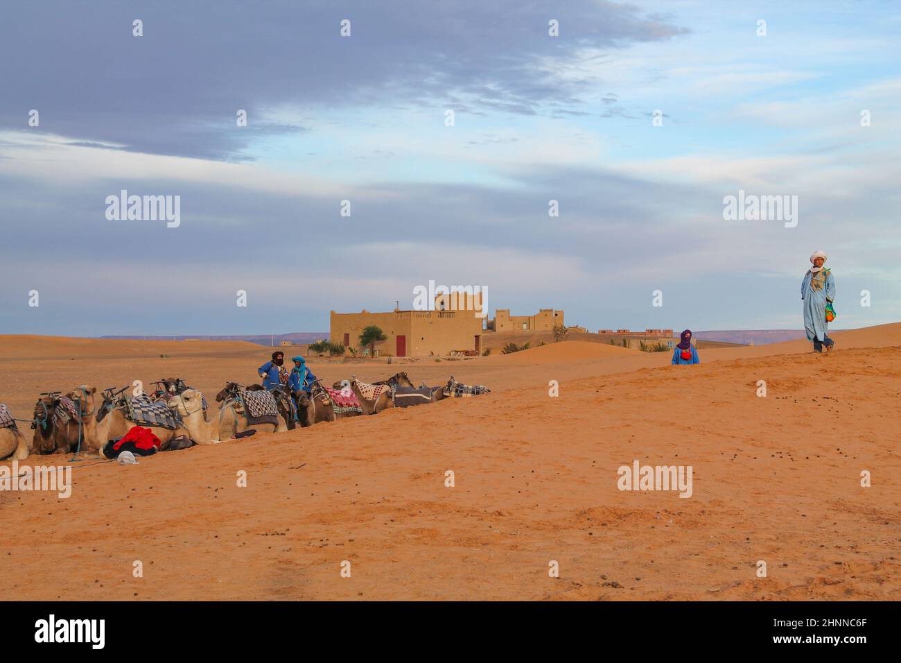 beduines wait for tourists to offer a camel ride in the desert near the ...